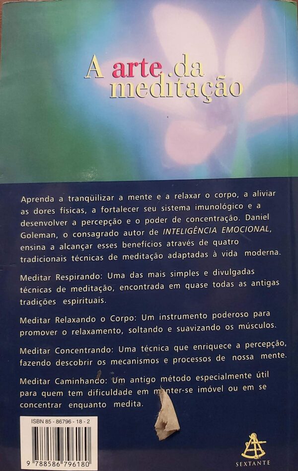 A Arte Da Meditação