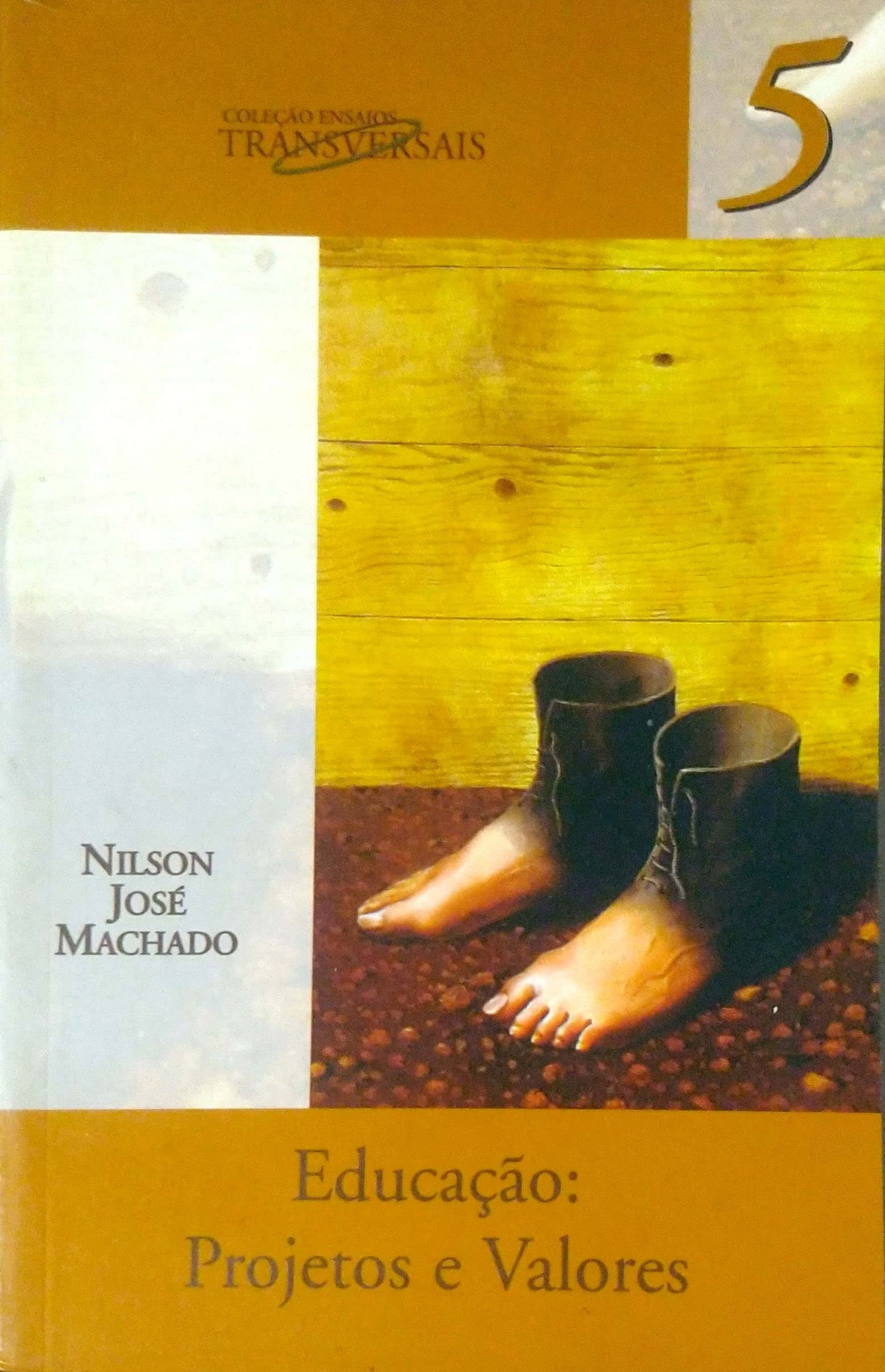 Educação. Projetos e Valores