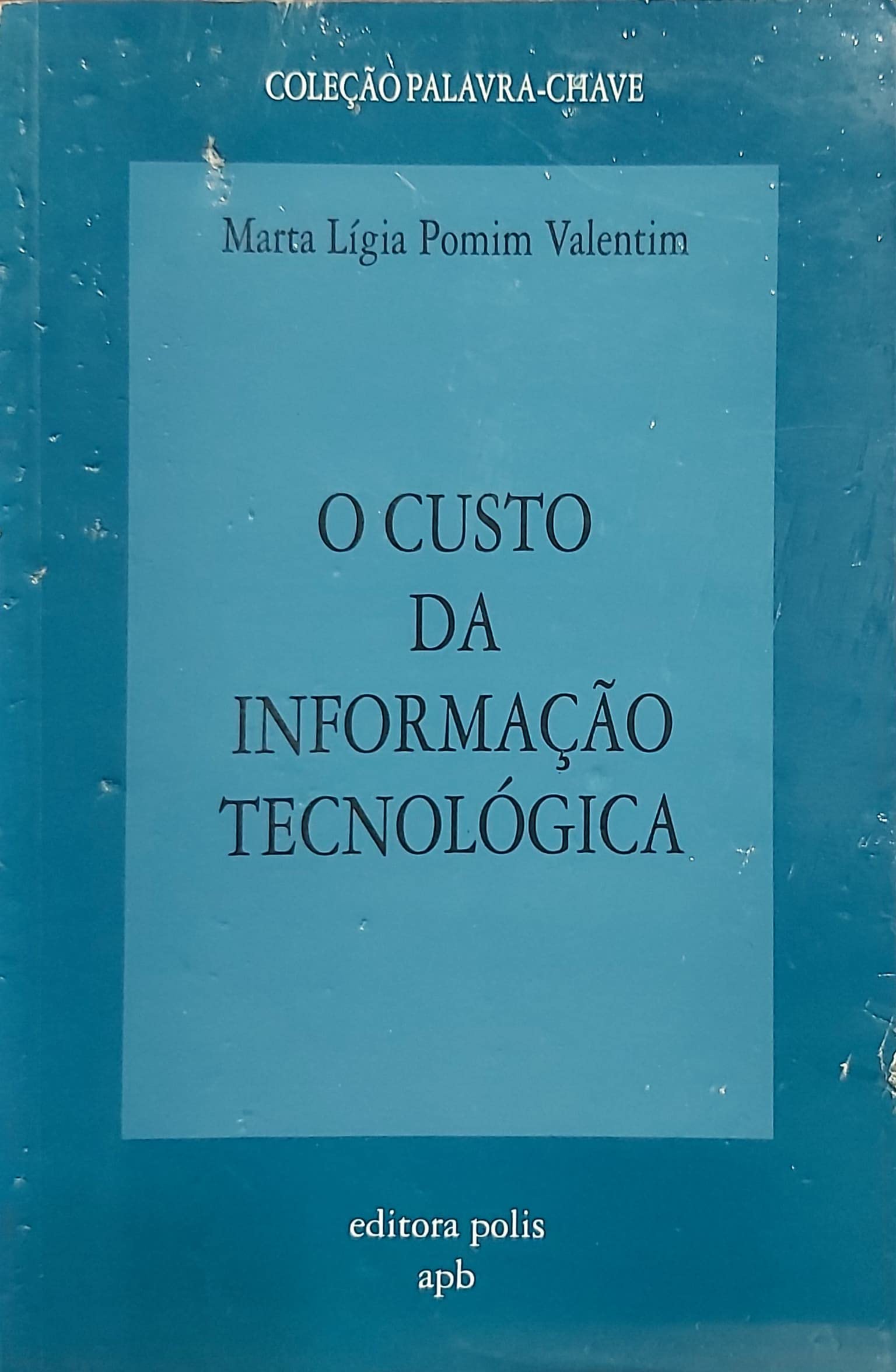 O Custo Da Informaçao Tecnologica
