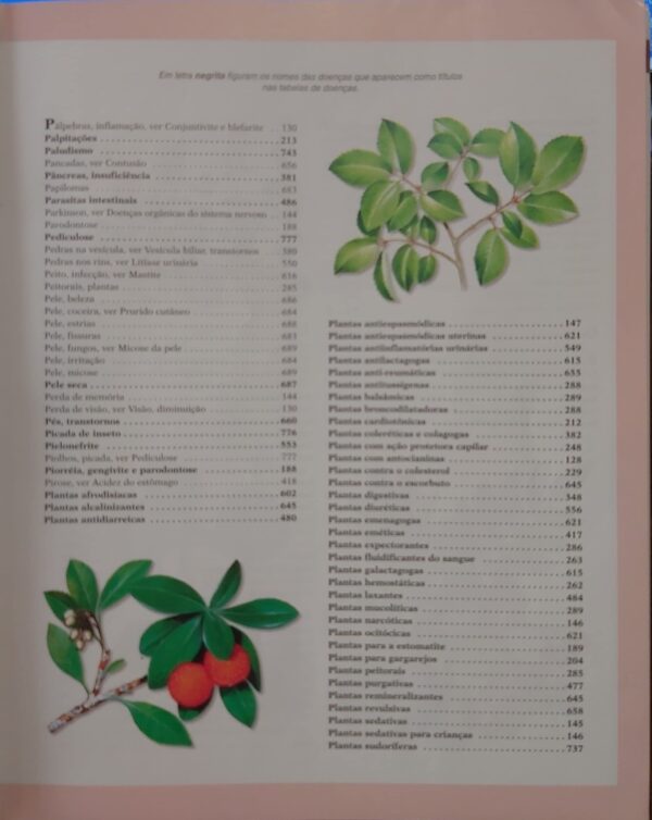 Plantas Mágicas - Enciclopédia das Plantas Medicinais - Volume 1 [Hardcover] Jorge D. Pamplona Roger