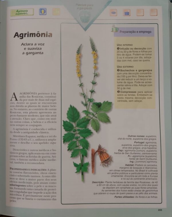 Plantas Mágicas - Enciclopédia das Plantas Medicinais - Volume 1 [Hardcover] Jorge D. Pamplona Roger